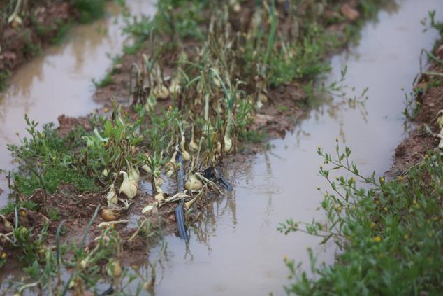 Fotos: Las tormentas arrecian sobre la Comunitat Valenciana