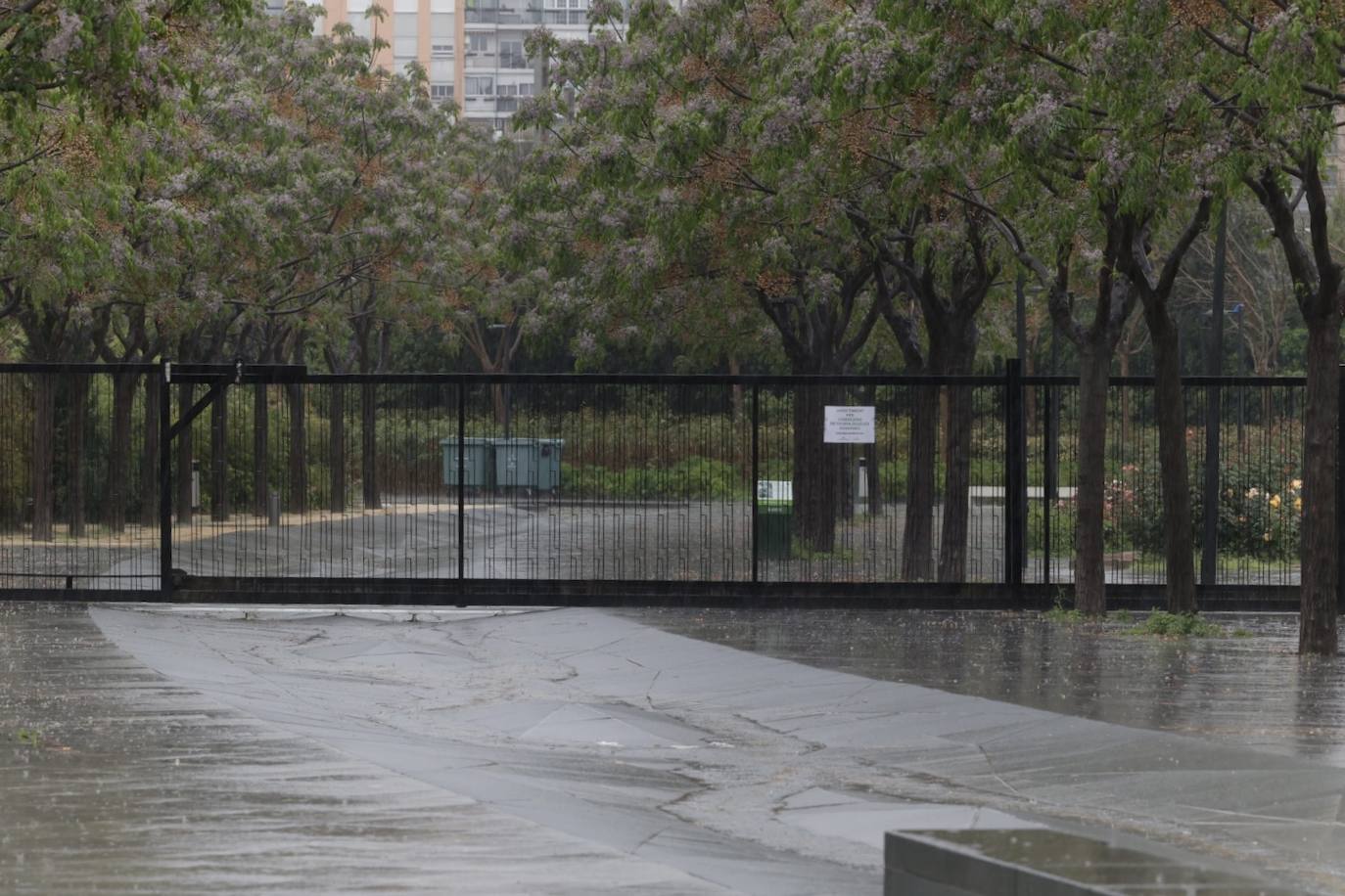 Fotos: Valencia ordena cerrar los parques y cementerios por la lluvia