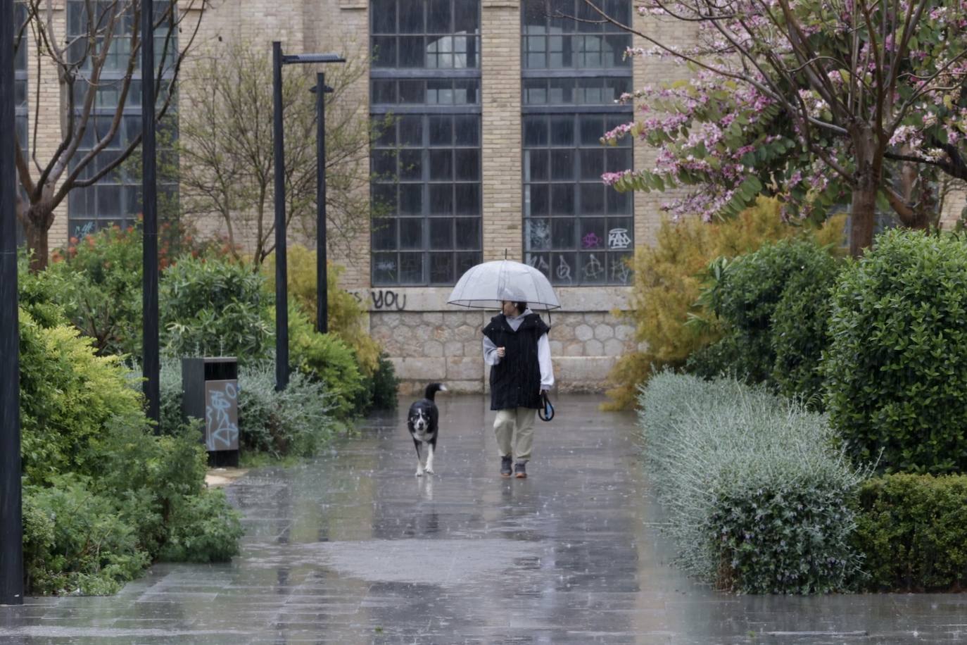 Fotos: Valencia ordena cerrar los parques y cementerios por la lluvia