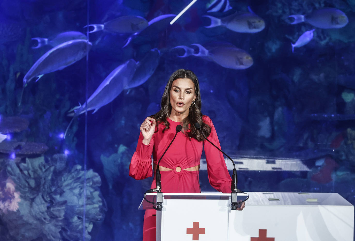 Fotos: La reina Letizia entrega las condecoraciones de Cruz Roja en Valencia