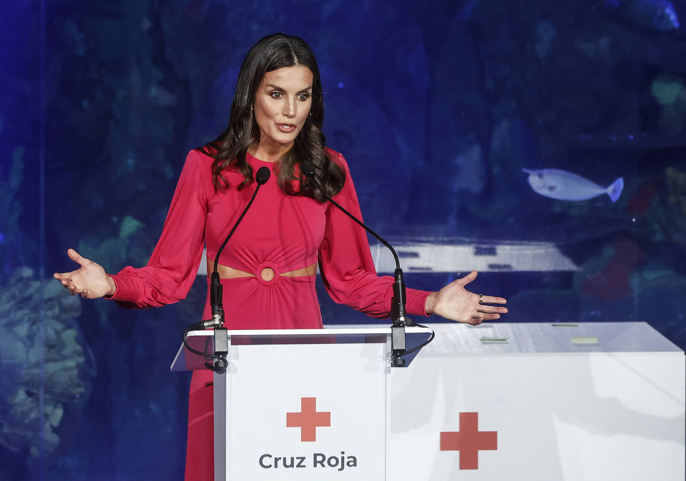 Fotos: La reina Letizia entrega las condecoraciones de Cruz Roja en Valencia