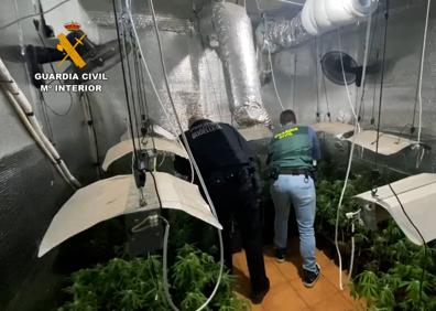 Imagen secundaria 1 - La Guardia Civil desmantela las plantaciones de marihuana en dos chalés de lujo. 