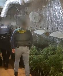 Imagen secundaria 2 - La Guardia Civil desmantela las plantaciones de marihuana en dos chalés de lujo. 