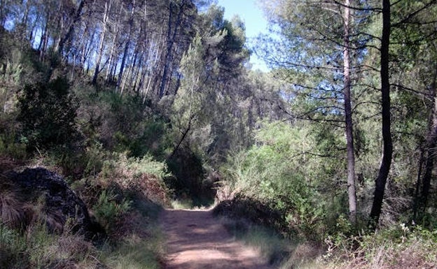 Imagen principal - Rutas por Valencia | Barranco Palomarejas: una divertida ruta a pie... y a nado