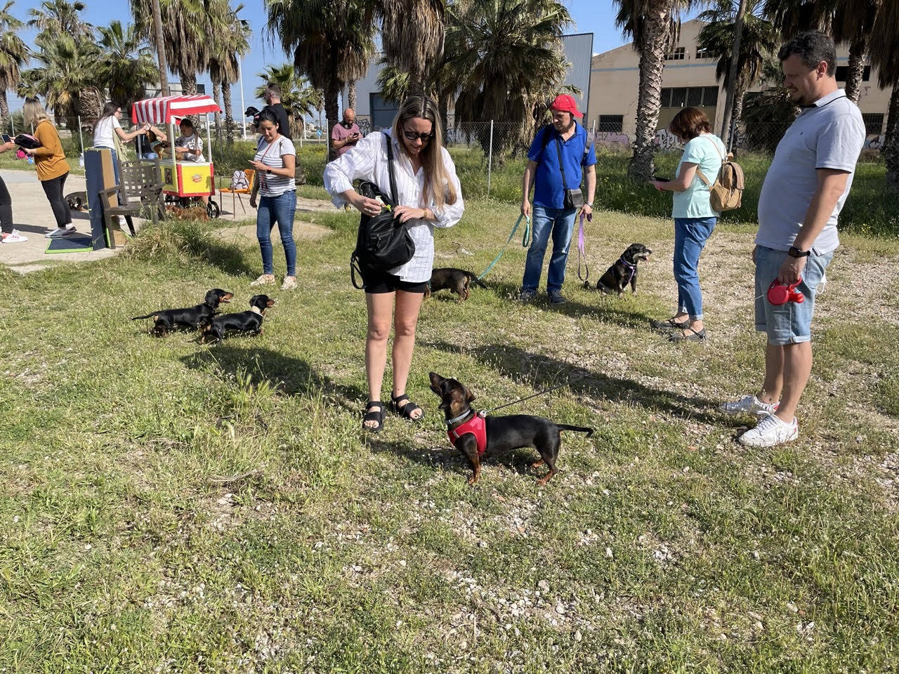 Quedada perruna de este domingo.