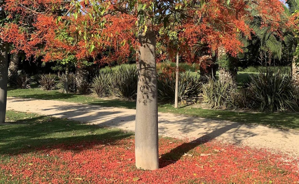 Parque Sergio Melgares, en el PAU 5 de Alicante. 