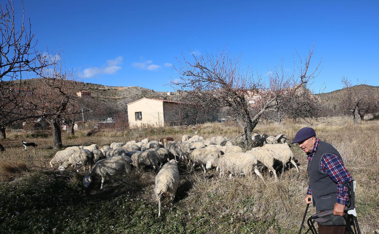 Un pastor con su rebaño en Casas Altas.