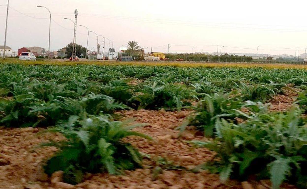 Un campo afectado por las últimas lluvias. 