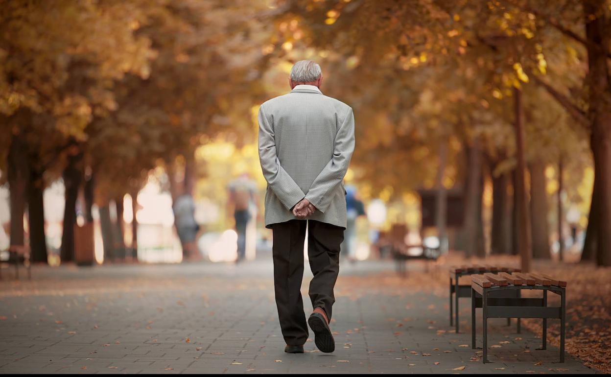 Un hombre pasea por un parque. 