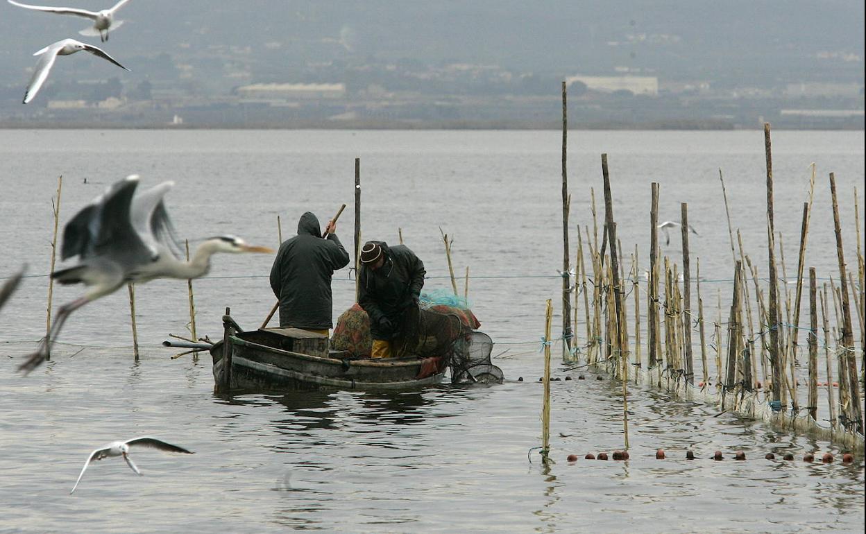 Pescadores en la Albufera. 