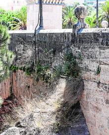 Imagen secundaria 2 - Paisaje. En el puente de Serranos, la vegetación oculta el monumento. | Asentamiento. El puente del Real concentra un grupo de tiendas de campaña. Signes | Humedades. El mal estado de los sillares es evidente en el puente del Mar.