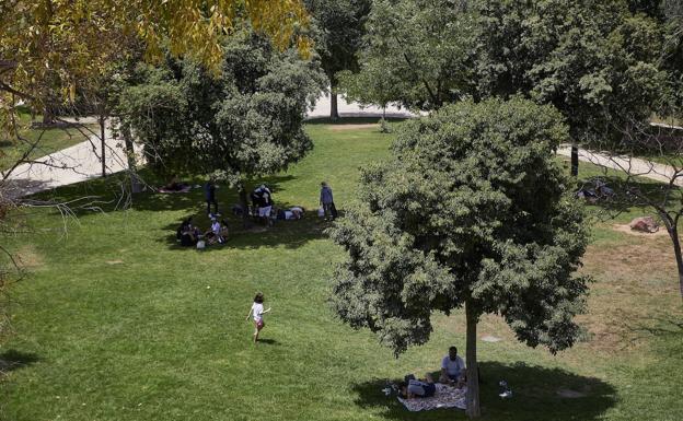 Una imagen del Jardín del Turia, desde las alturas. 