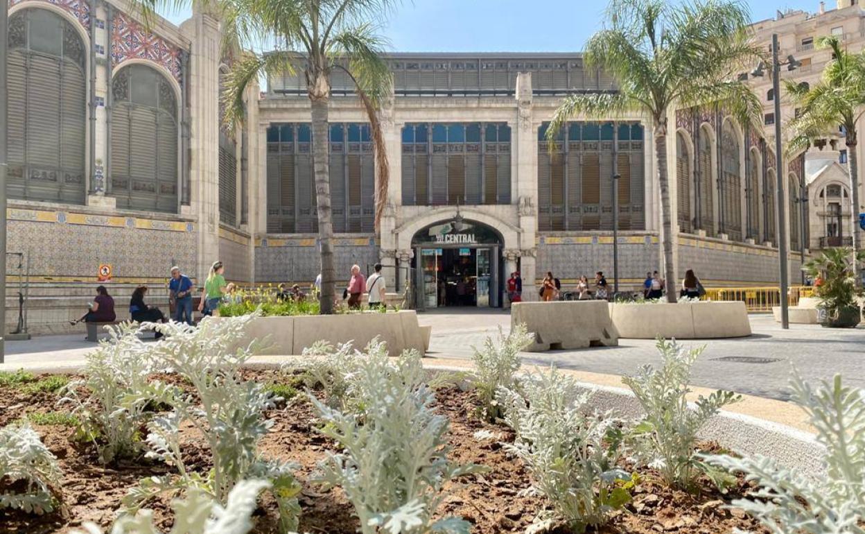 Una de las jardineras en la plaza de Brujas con la nueva plantación. 