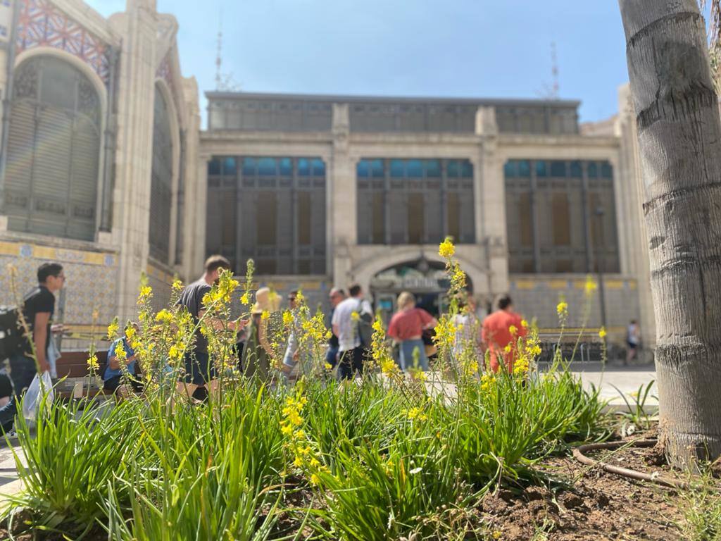 Fotos: El nuevo aspecto de la plaza Ciudad de Brujas de Valencia