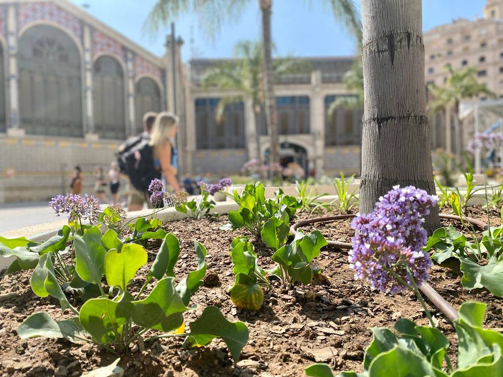 Fotos: El nuevo aspecto de la plaza Ciudad de Brujas de Valencia