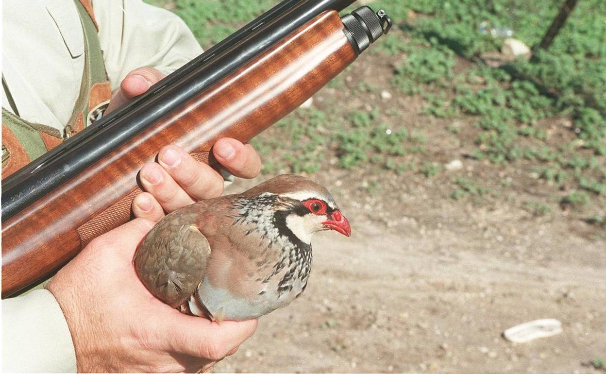 Restricciones y sanciones por caza ilegal en Murcia | Veda 2022