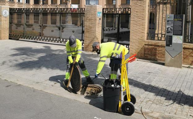 Cien toneladas de veneno para atajar las plagas de ratas e insectos en Valencia