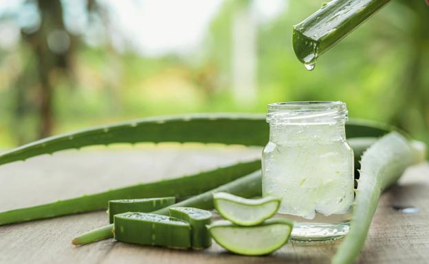 Aloe Vera: cómo eliminar ojeras, manchas y arrugas en la cara de forma casera