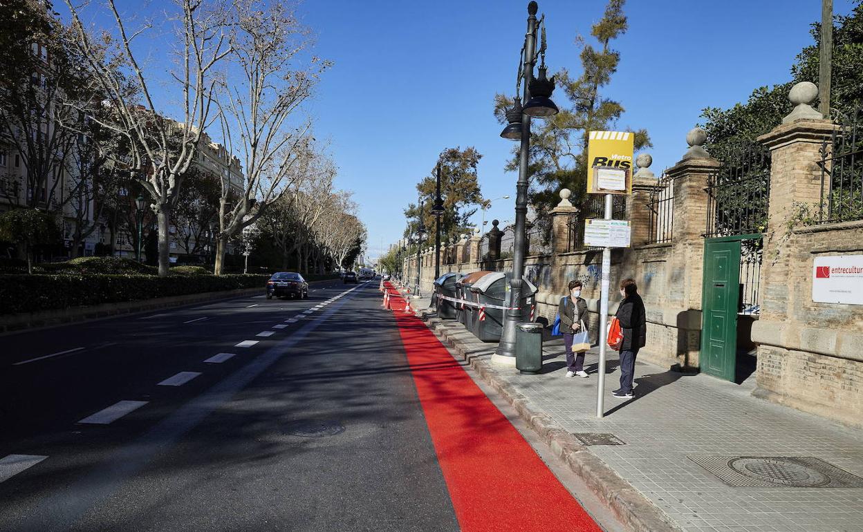 Carril ciclista dentro del reservado para el bus y taxi en Fernando el Católico. 