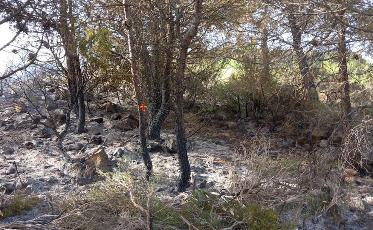 Los bomberos han trabajado en la extinción del fuego. 