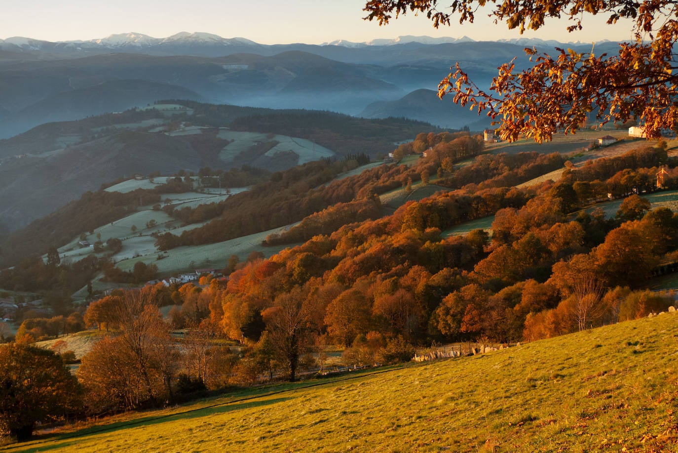 Tineo, Asturias