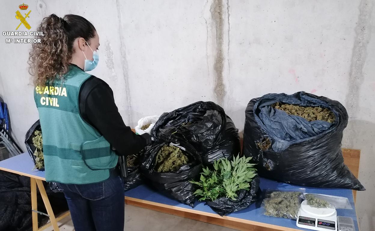 Un agente de la Guardia Civil, ante las sustancias incautadas. 