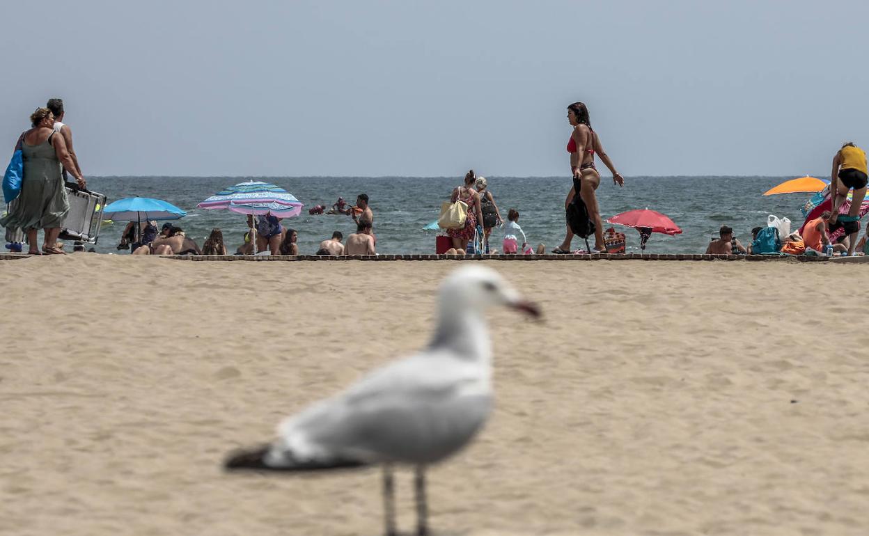 Una playa valenciana. 