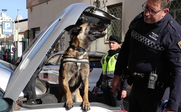 Unidad canina que estará vigilando la zona de la playa de Valencia. 