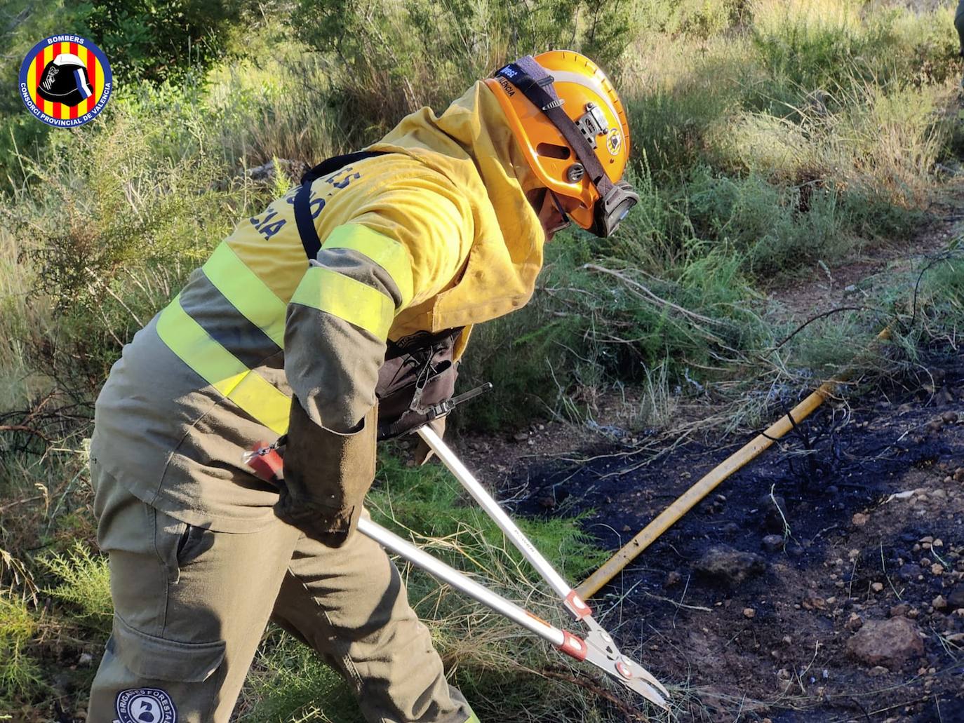 Fotos: Un incendio forestal obliga a evacuar a vecinos en Riba-roja de Túria