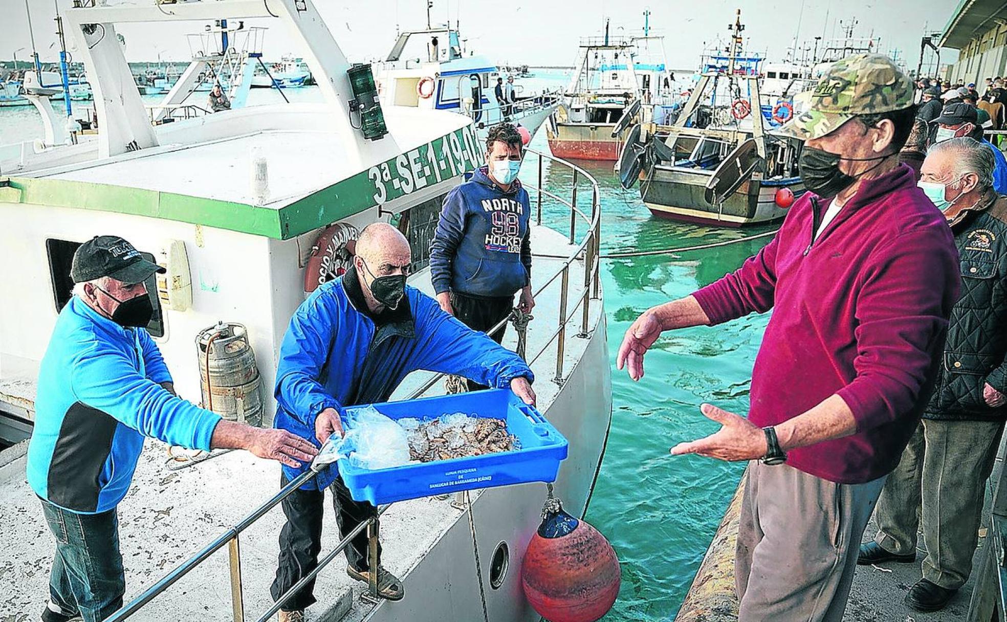 Tripulantes de un arrastrero descargan con decepción media caja de langostinos después de todo un día faenando.