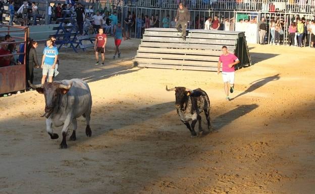577 firmas contra el bous al carrer de Bétera en el Carraixet