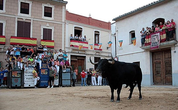 Herido grave un niño de 12 años al ser corneado por una vaca en Puçol