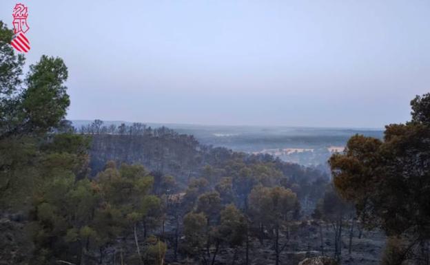 Zona del incendio, en Venta del Moro.