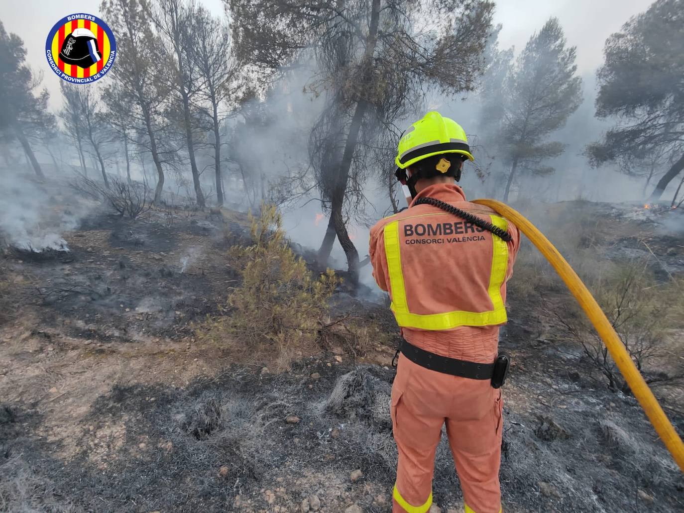 Fotos: Incendio forestal en Venta del Moro