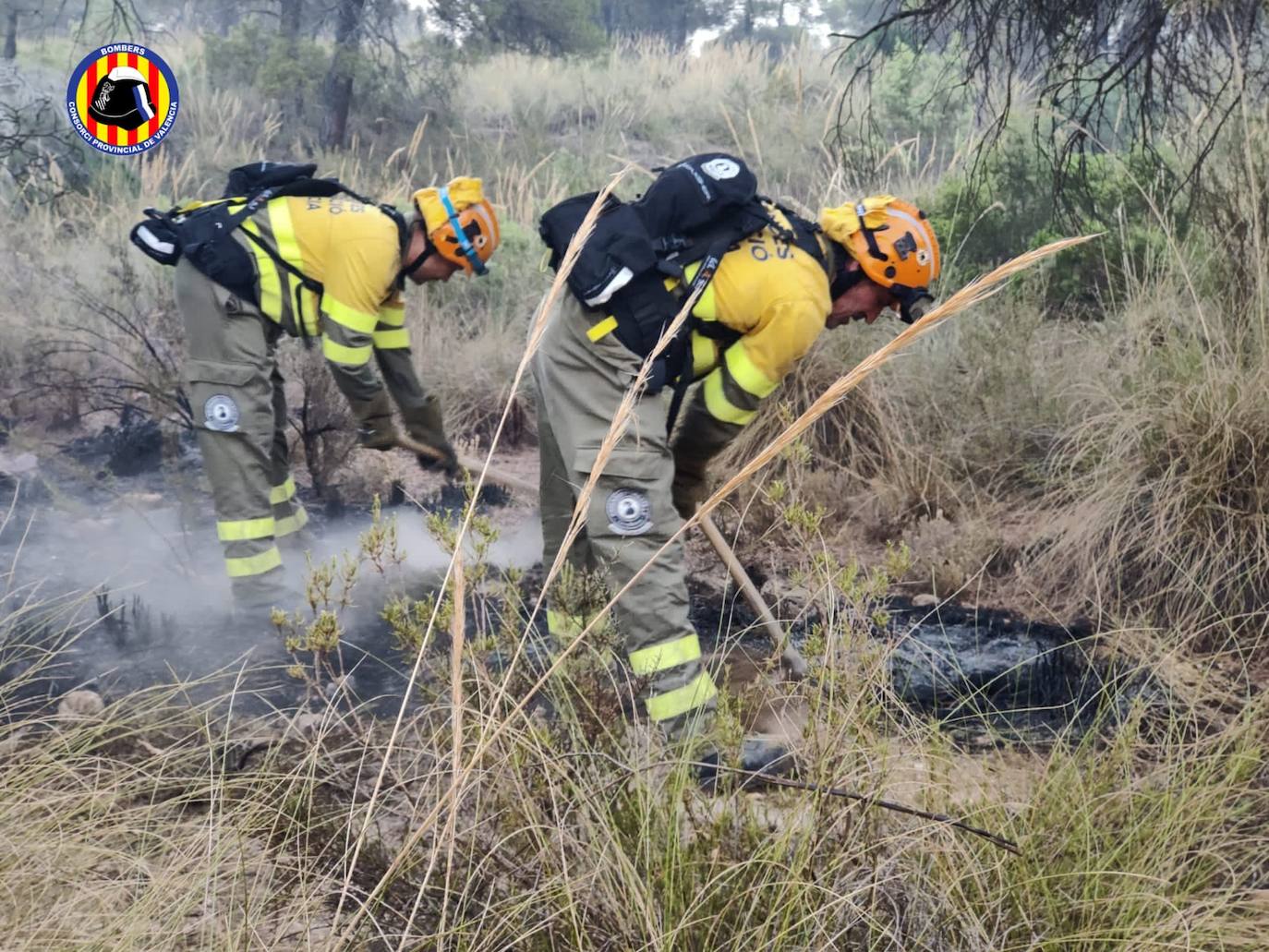 Fotos: Incendio forestal en Venta del Moro