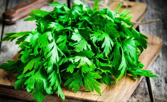 El té de cilantro aporta una gran cantidad de beneficios para el organismo. 