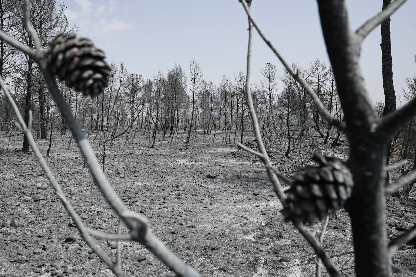 Fotos: Los efectos del incendio de Venta del Moro