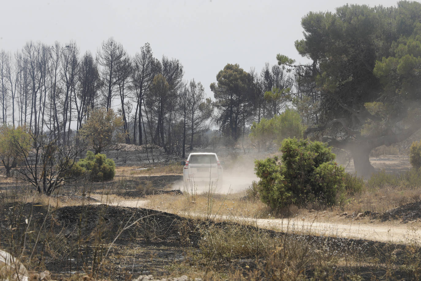 Fotos: Los efectos del incendio de Venta del Moro