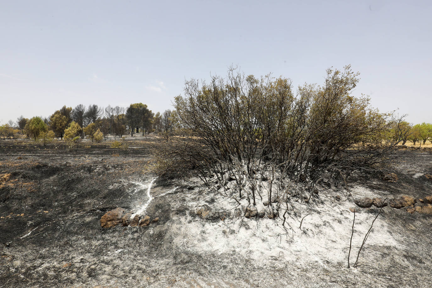 Fotos: Los efectos del incendio de Venta del Moro