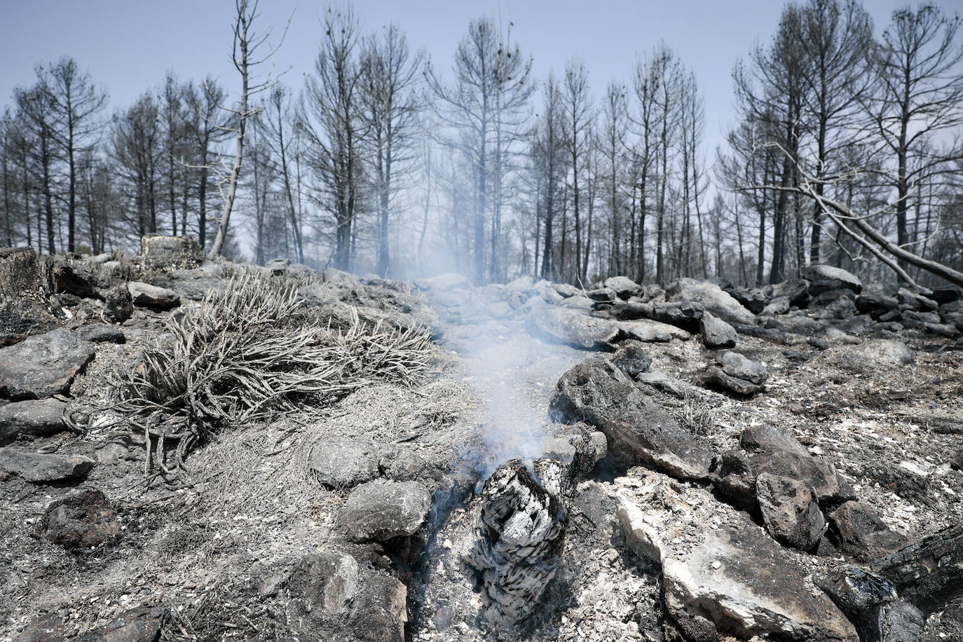 Fotos: Los efectos del incendio de Venta del Moro