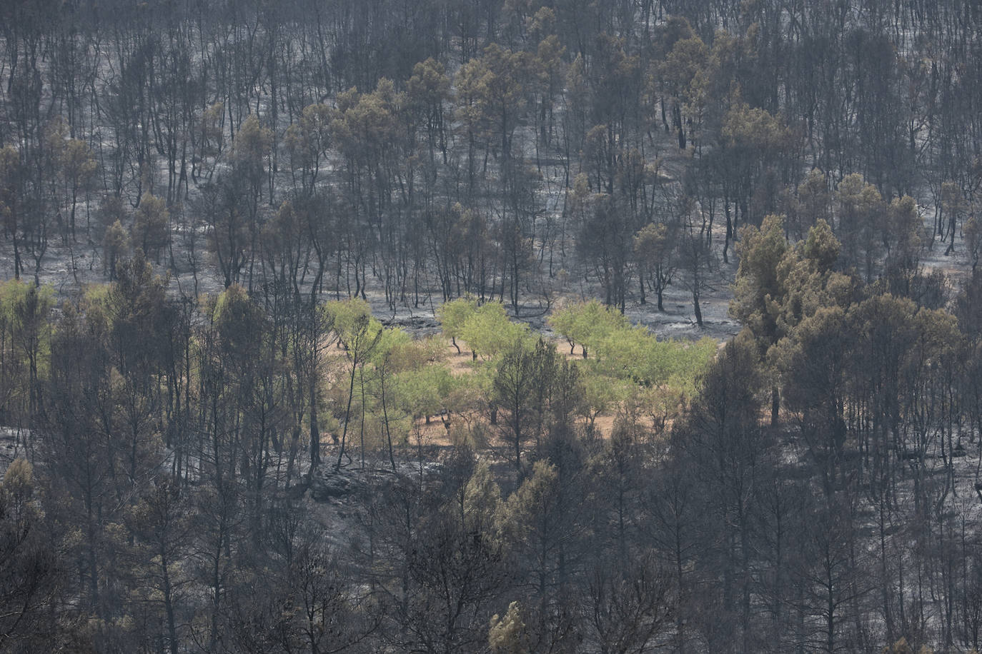 Fotos: Los efectos del incendio de Venta del Moro