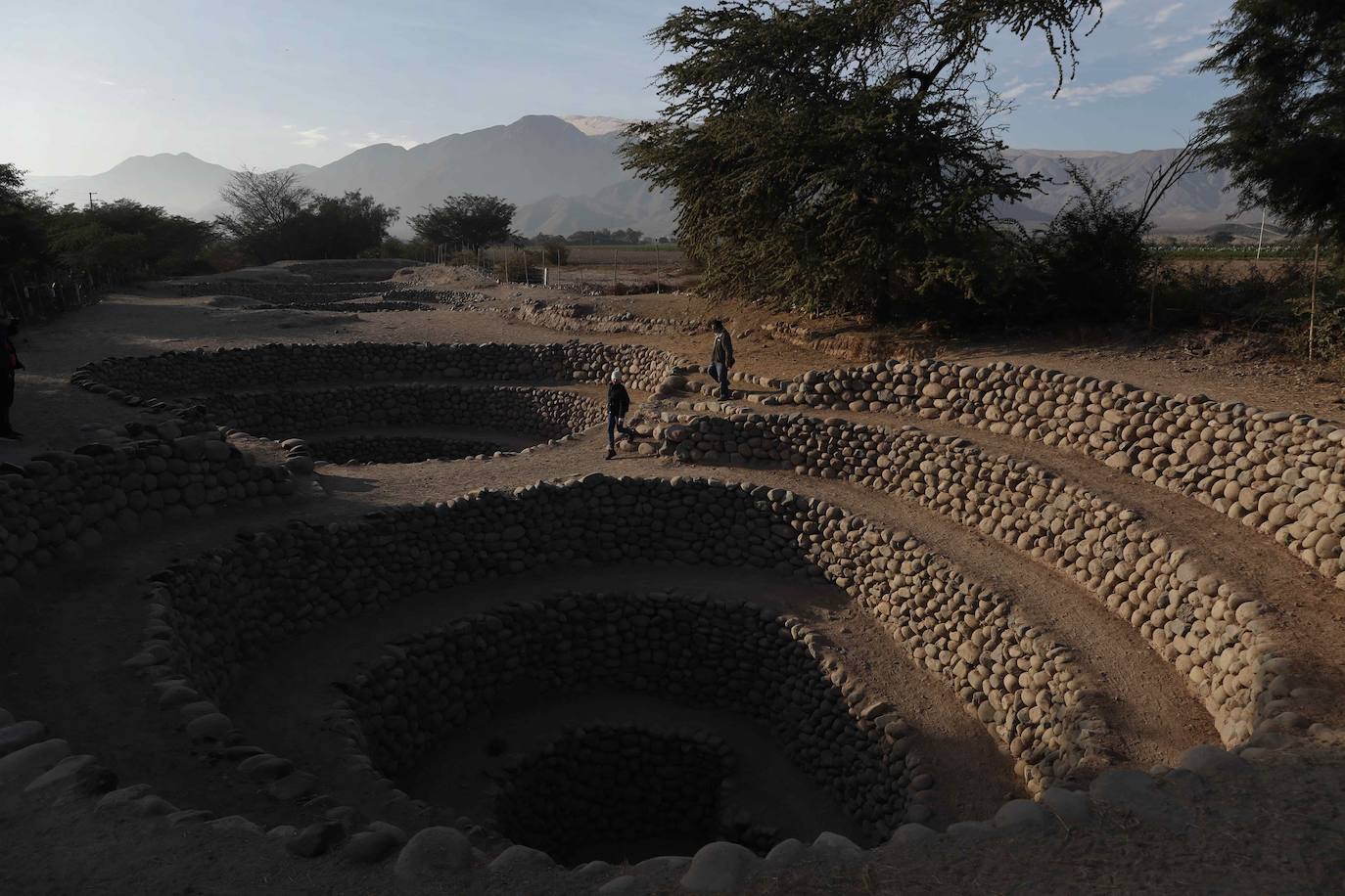 A la misión de poner en valor este conocimiento ancestral, se ha sumado el grupo privado AJE y la Asociación María Reiche Internacional (fundación con el nombre de la más famosa estudiosa de las líneas de Nazca). 