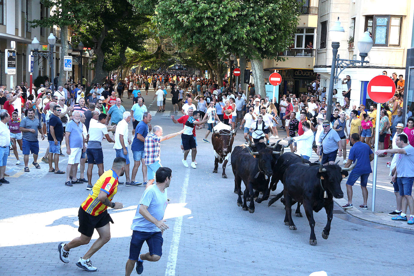 Fotos: Bous a la Mar en Dénia