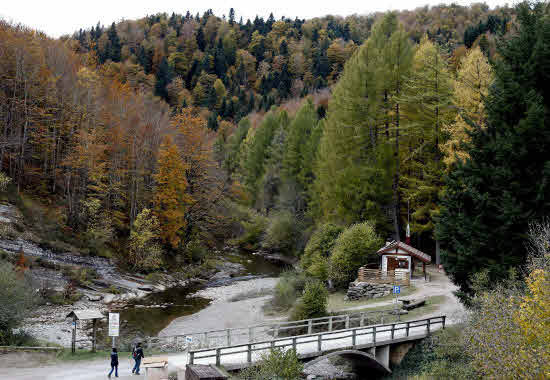 La Selva de Irati, Navarra.