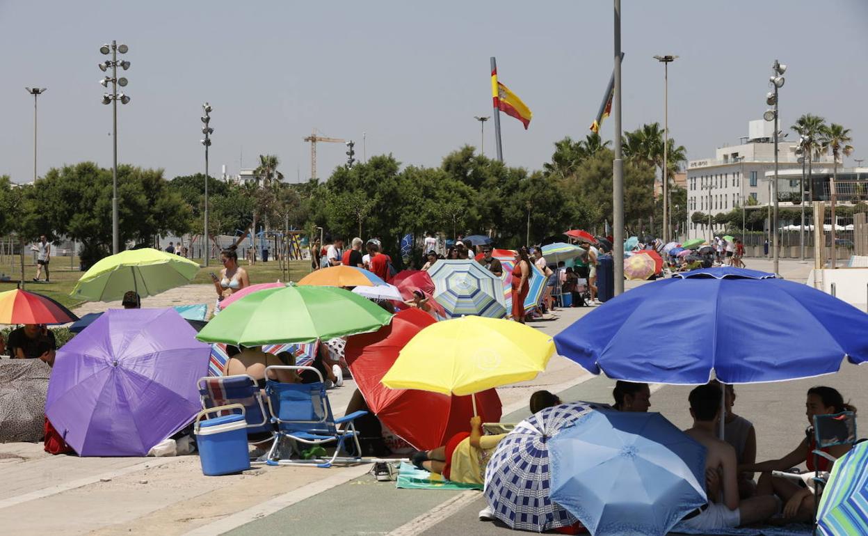 Concierto de Rosalía en Valencia | Colas en plena ola de calor para ser los primeros en ver a Rosalía