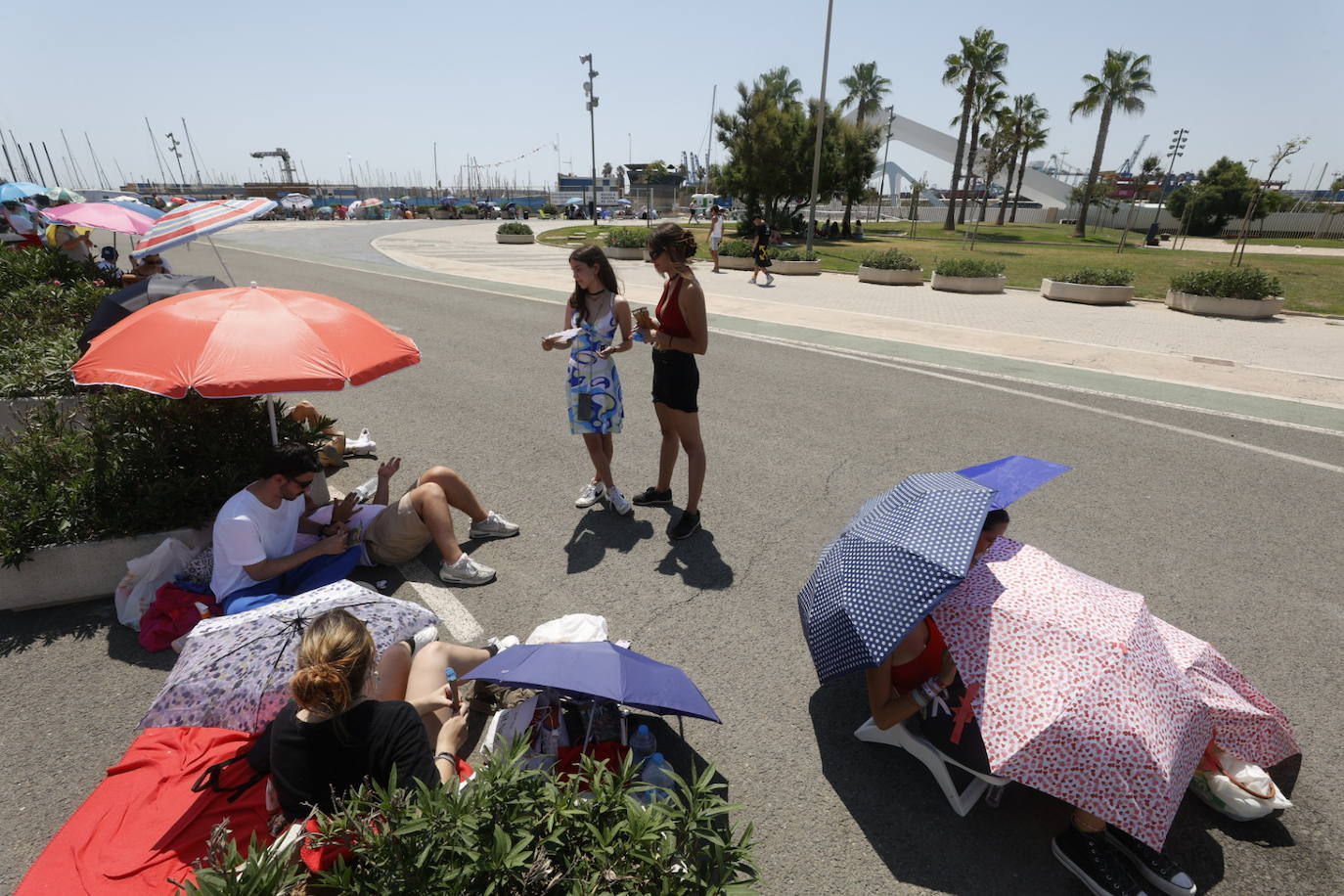 Fotos: Colas para ver a Rosalía en Valencia en plena ola de calor