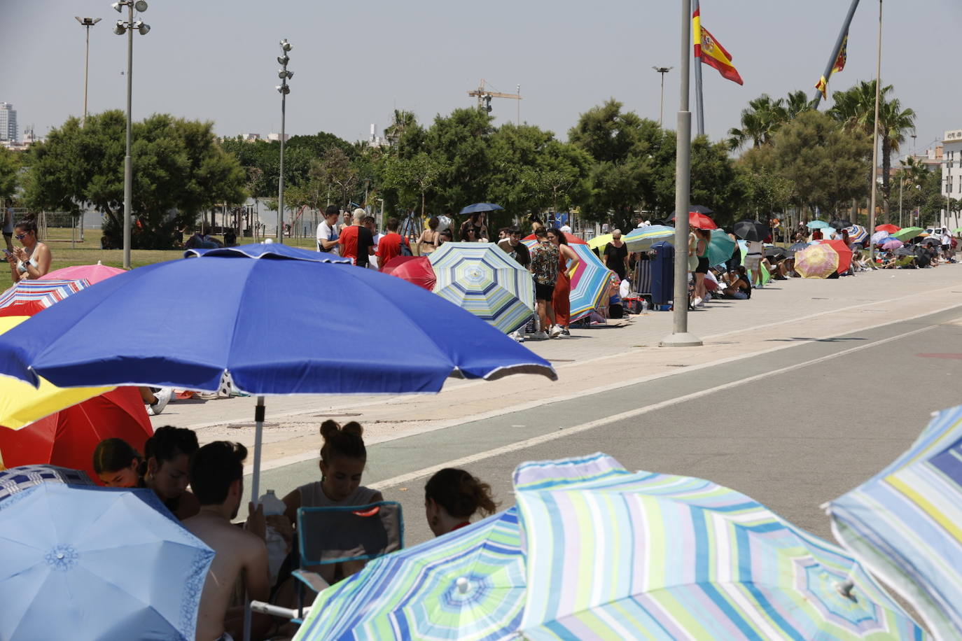 Fotos: Colas para ver a Rosalía en Valencia en plena ola de calor