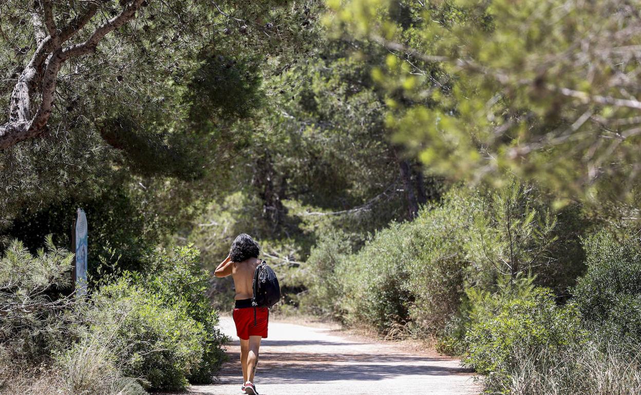 Una mujer pasea por el monte . 