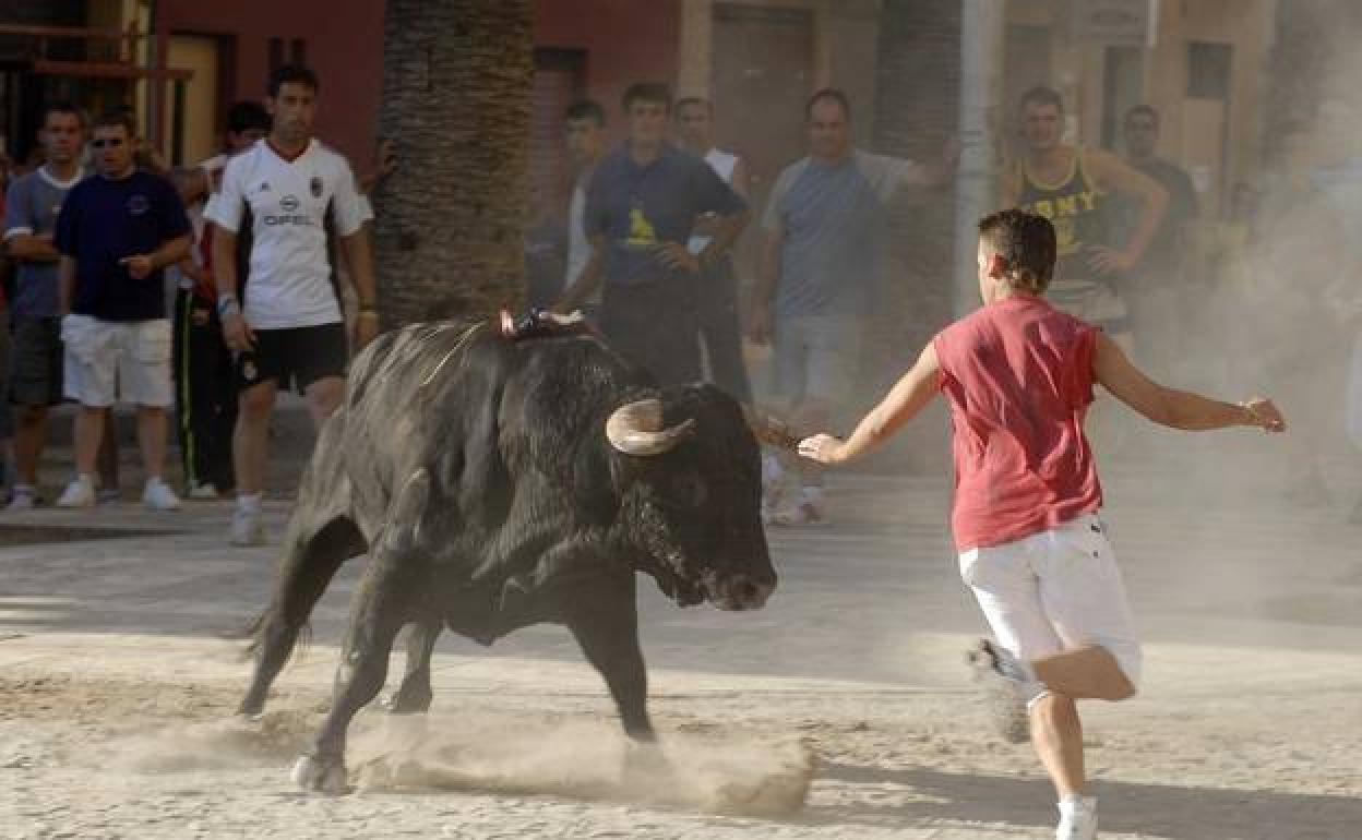 Una imagen de 'bous la carrer' en la Comunitat. 