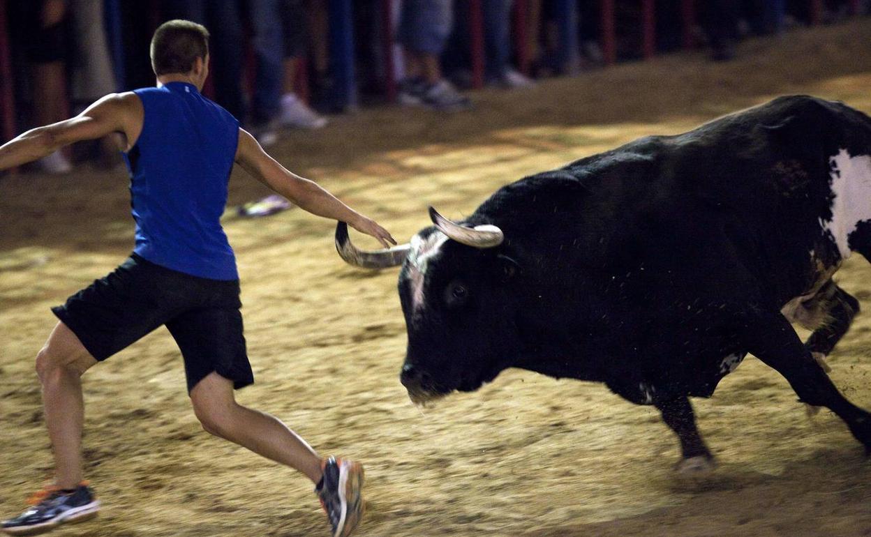 Un festejo de 'bous al carrer' en una imagen de archivo.